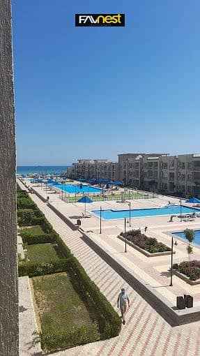 2 475525530_122136498848513532_3076150684367594902_n. jpg