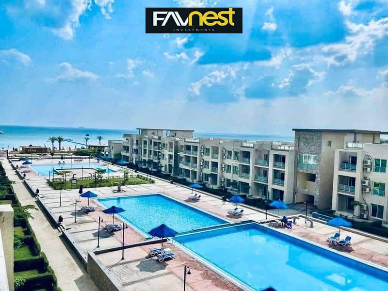 4 505790447_714880518152634_6661671210639478278_n. jpg