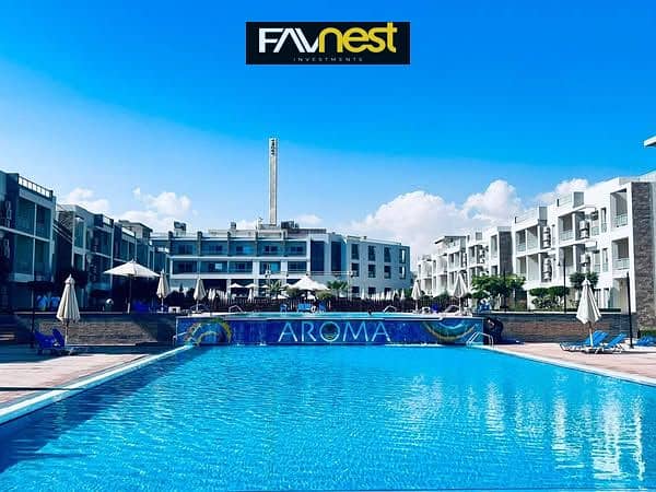 9 506597917_3897286943894684_8231582717291636812_n. jpg