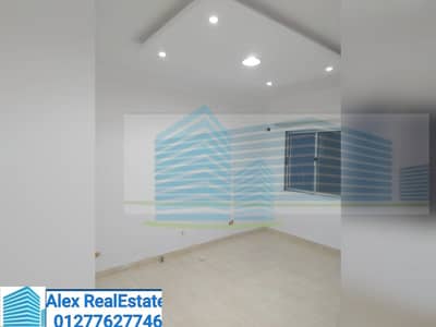Office for Rent in Sporting, Alexandria - WhatsApp Image 2025-10-01 at 3.40. 35 AM (3). jpeg