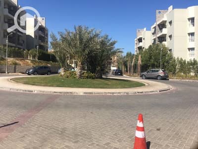 شقة 3 غرف نوم للايجار في الشيخ زايد، الجيزة - WhatsApp Image 2020-01-26 at 1.08. 16 PM. jpg