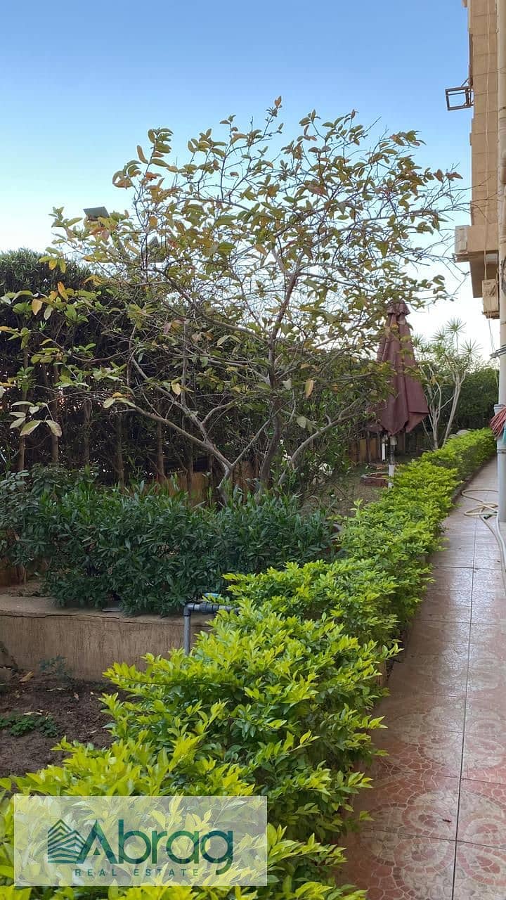 7 WhatsApp Image 2025-10-01 at 5.20. 24 PM. jpeg