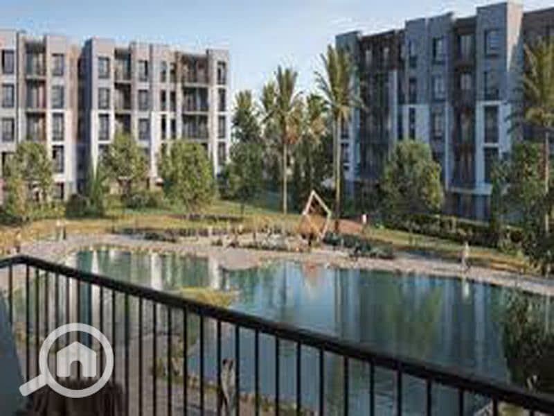 4 download (3)_800x600 (1). jpg