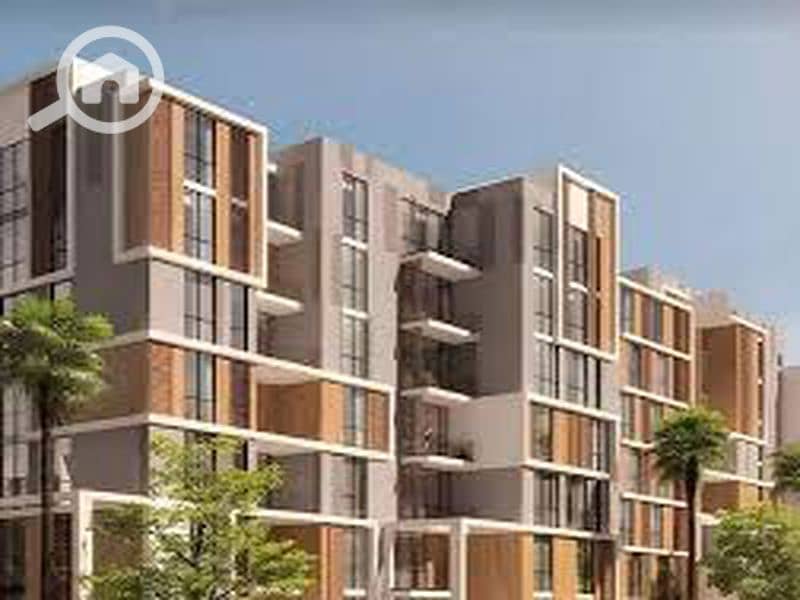 7 images (3)_800x600. jpg