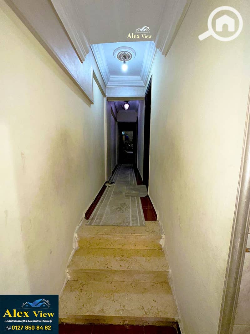 5 5. jpg