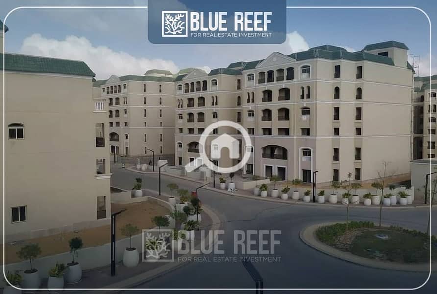 WhatsApp Image 2025-09-30 at 7.49. 56 PM. jpeg WhatsApp Image 2025-09-30 at 7.49. 56 PM. jpeg