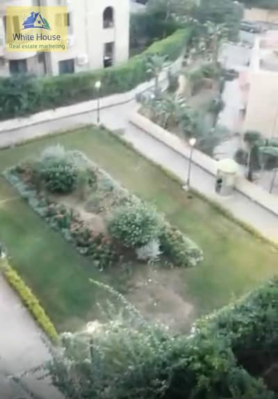 3 Bedroom Flat for Rent in New Cairo, Cairo - 1c962a80-148e-4508-9510-50ff2e84f941. jpg