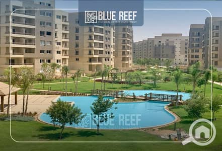4 Bedroom Apartment for Sale in New Cairo, Cairo - 5. jpg