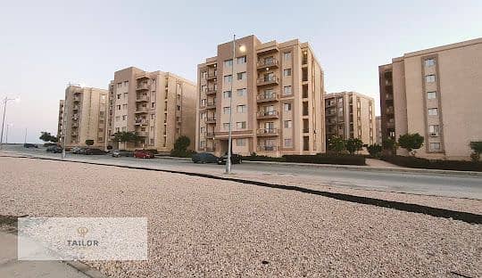 5 النرجس. jpg