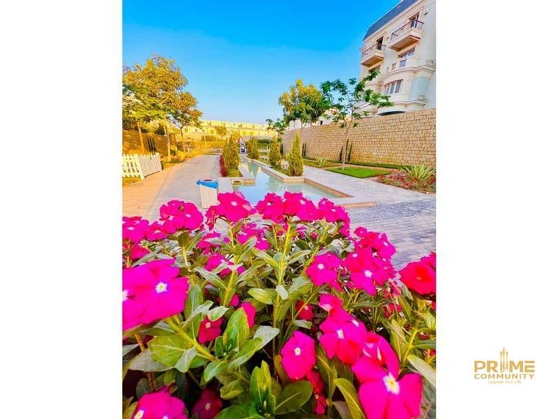 2 WhatsApp Image 2025-09-15 at 17.23. 40 (1). jpeg