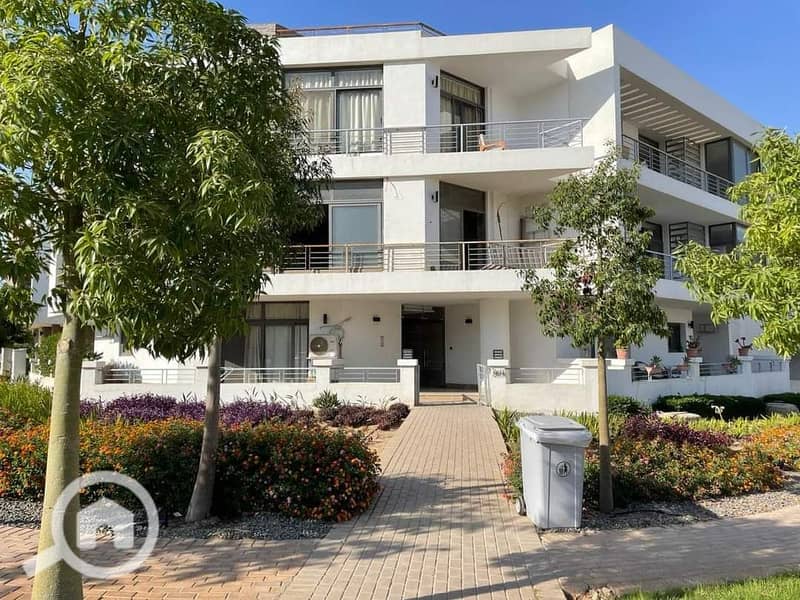 3 FB_IMG_1686692282338. jpg