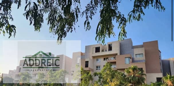 فلیٹ 4 غرف نوم للبيع في مدينتي، القاهرة - d953eacc-54a7-415b-b834-cbc945a64a6b. jpg