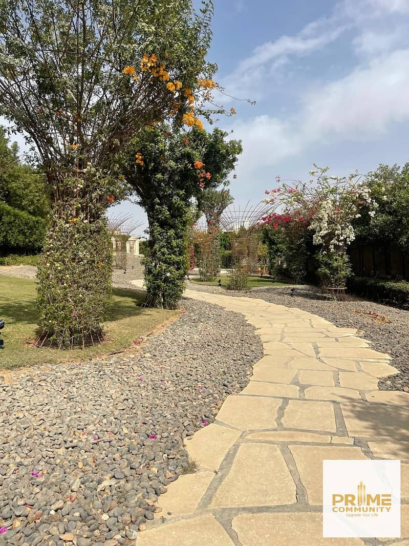 5 WhatsApp Image 2025-05-11 at 19.01. 14_daec4cd7. jpg