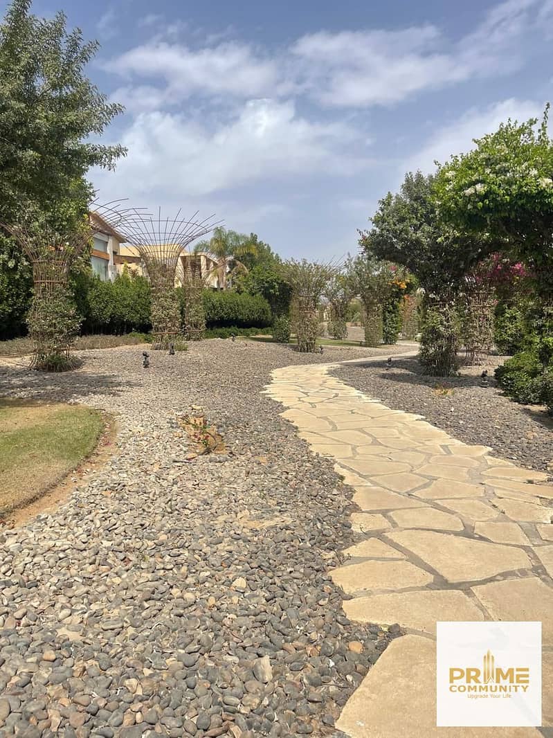 6 WhatsApp Image 2025-05-11 at 19.01. 14_e29dcc85. jpg