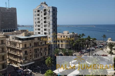 مکتب  للبيع في المنشية، الإسكندرية - -. png