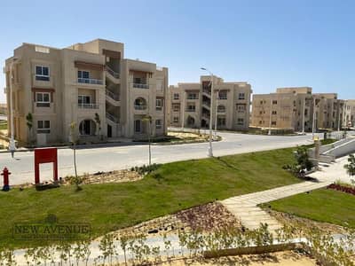 شاليه 2 غرفة نوم للبيع في الساحل الشمالي، مطروح - WhatsApp Image 2025-10-02 at 11.15. 51 AM (2). jpg شاليه 2 غرفة نوم للبيع في الساحل الشمالي، مطروح - WhatsApp Image 2025-10-02 at 11.15. 51 AM (2). jpg