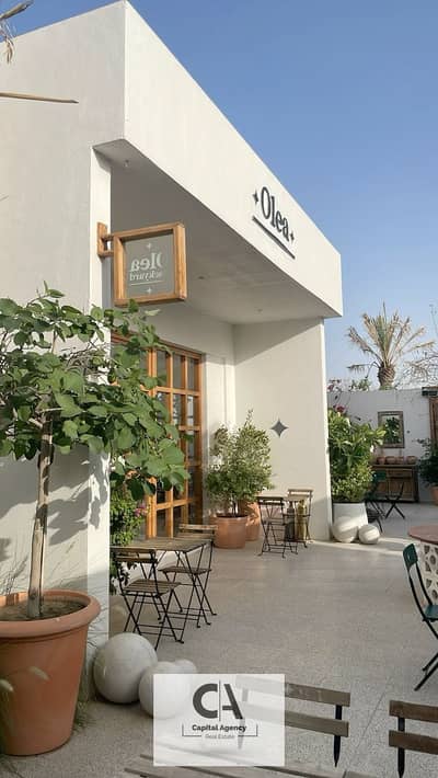 Restaurant & Cafe for Rent in New Cairo, Cairo - bd1802ae112fa228dacc67b8e2a0621b. jpg