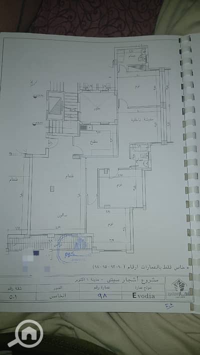 4 Bedroom Flat for Sale in Hadayek October, Giza - اشجار. jpg