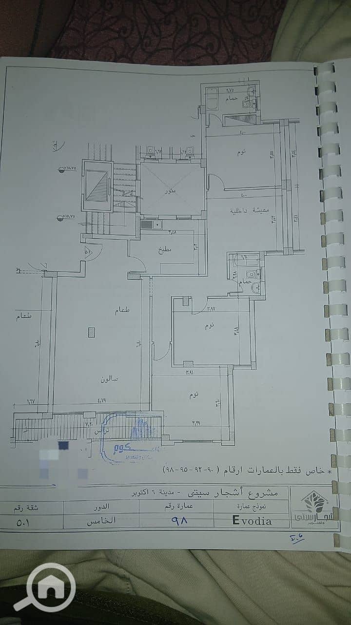 اشجار. jpg