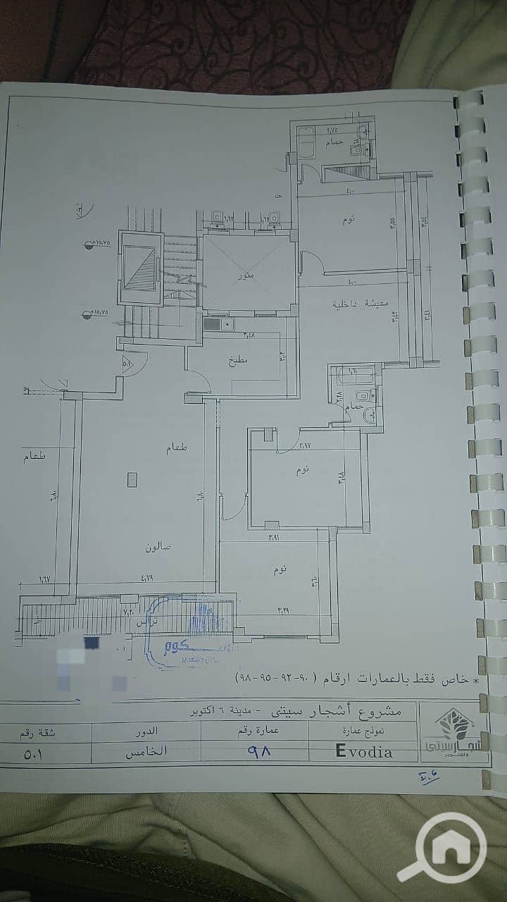 2 اشجار. jpg