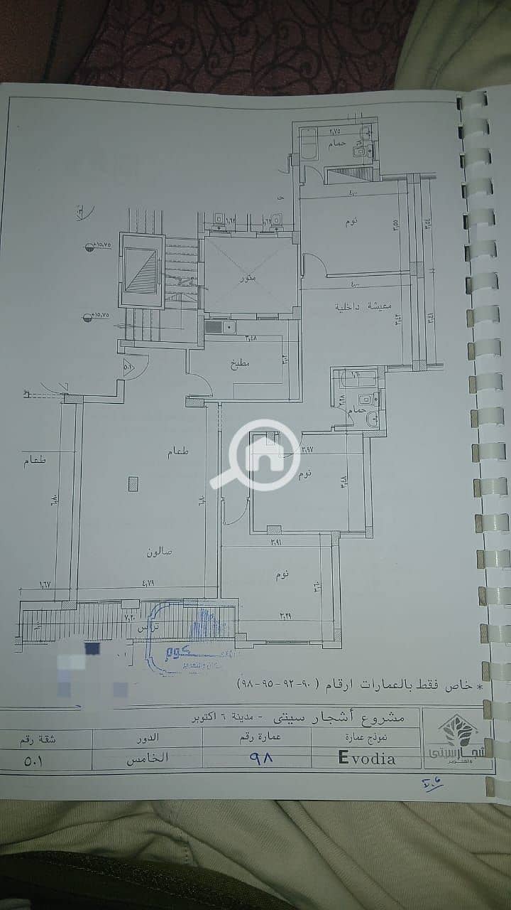 3 اشجار. jpg