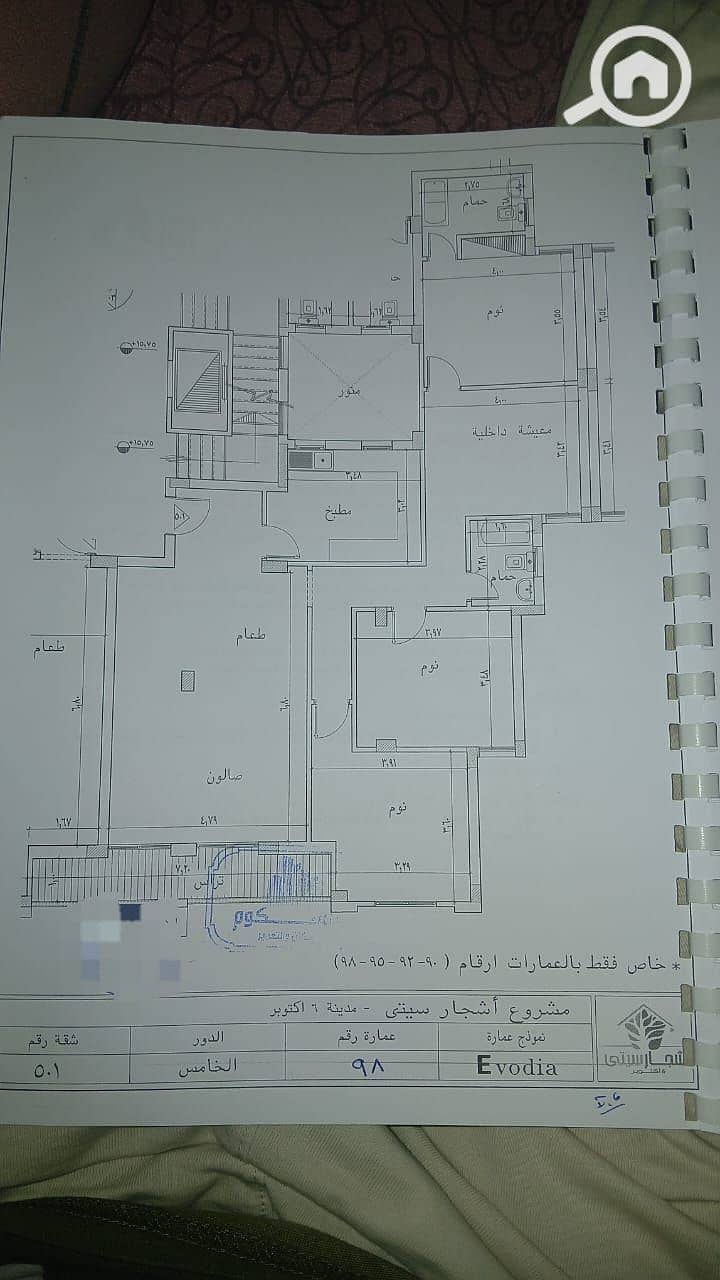4 اشجار. jpg
