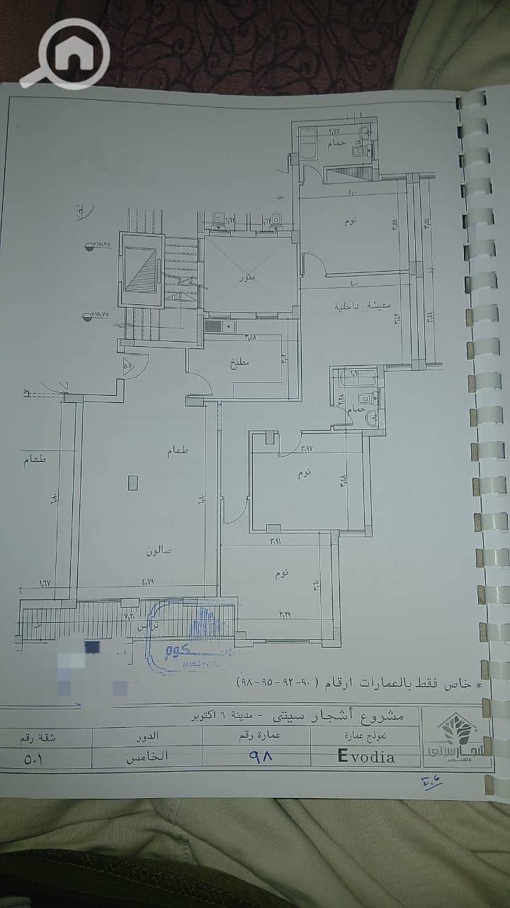 5 اشجار. jpg