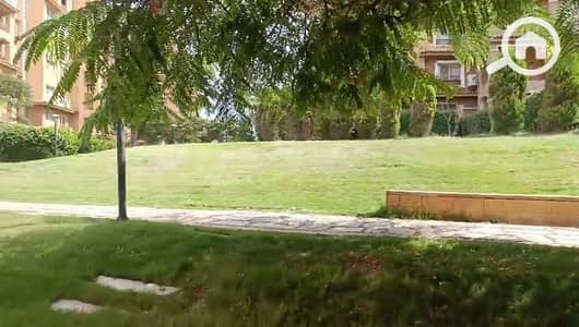 شقة 3 غرف نوم للايجار في مدينتي، القاهرة - 6560902b-be8b-4c23-b875-dde457f57fb0. jpg