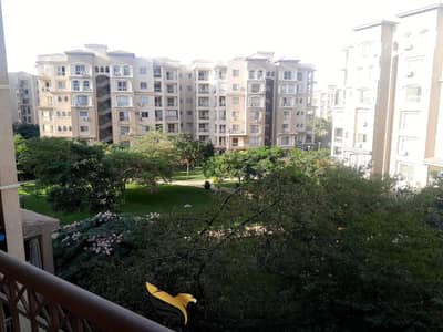 2 Bedroom Flat for Rent in Madinaty, Cairo - 557617365_1472004144030113_9069882768037470811_n. jpg