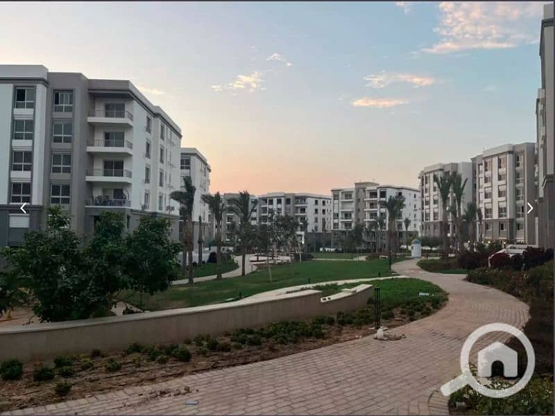 5 WhatsApp Image 2025-10-02 at 2.06. 07 PM (1). jpeg