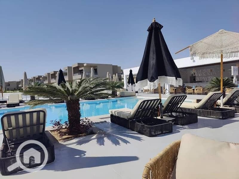 4 WhatsApp Image 2025-06-01 at 15.46. 09_298912cd. jpg