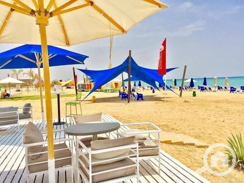 5 WhatsApp Image 2025-06-01 at 15.46. 08_ceef7b9d. jpg