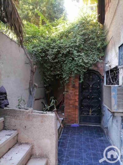 3 Bedroom Flat for Rent in Maadi, Cairo - IMG_20250921_164643. jpg