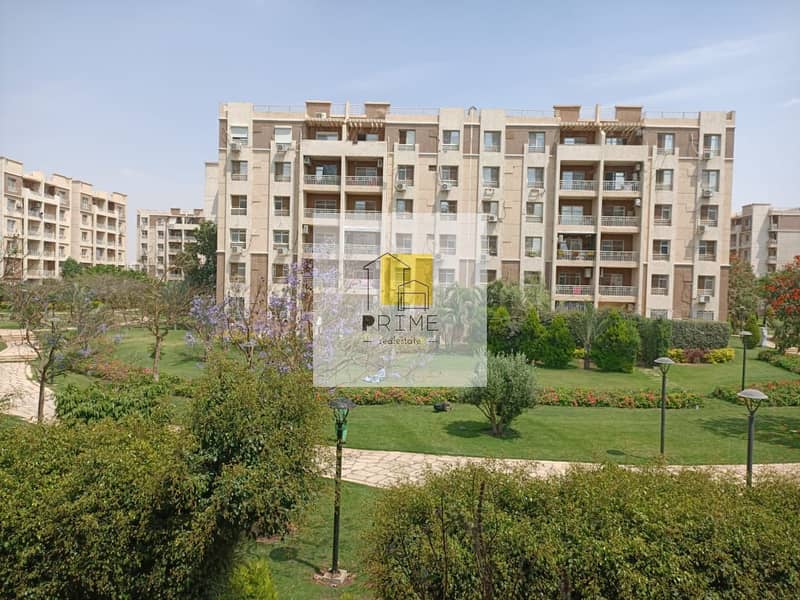 9 WhatsApp Image 2025-08-14 at 18.56. 39_d39c29ac. jpg