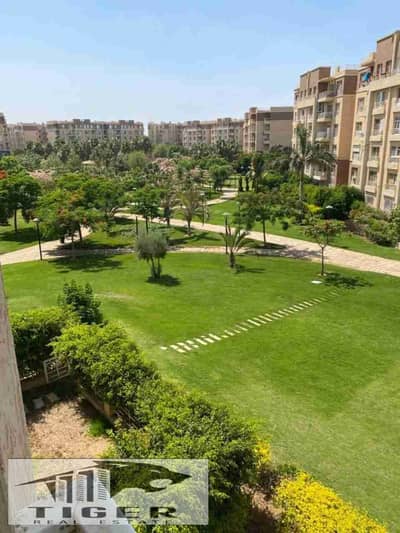 3 Bedroom Apartment for Sale in Madinaty, Cairo - 1000048515. jpg