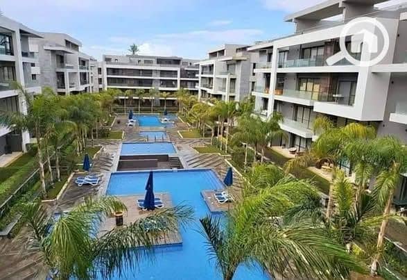 7 480851803_1361380091945273_7083446455068037629_n. jpg