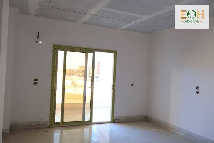 5 IMG_0435 - Copy - Copy. jpg