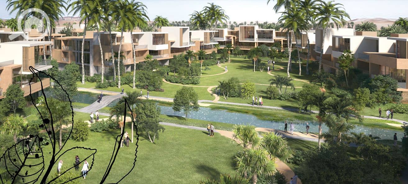 2 المراسم زايد الجديدة (2). png