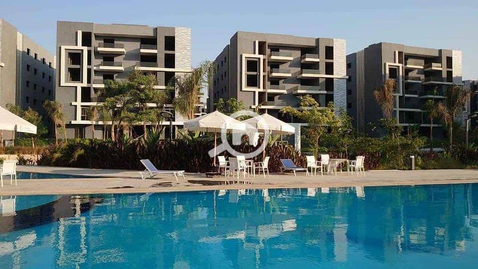 8 426039633_7394783283911673_3310974026026004437_n. jpg