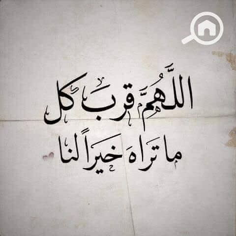 13 images (3). jpeg. jpg