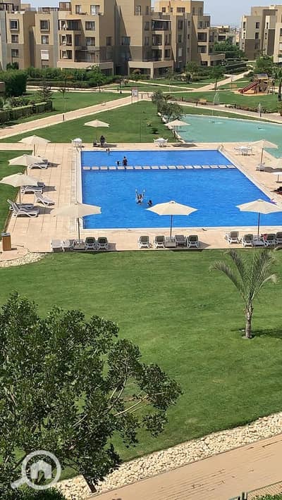 شقة 2 غرفة نوم للايجار في 6 أكتوبر، الجيزة - facef70e-aca4-4548-afa5-a082414d1a66. jpeg