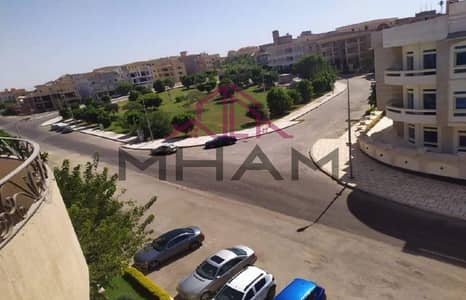 فلیٹ 4 غرف نوم للايجار في القاهرة الجديدة، القاهرة - photo_5976512705839876740_x. jpg