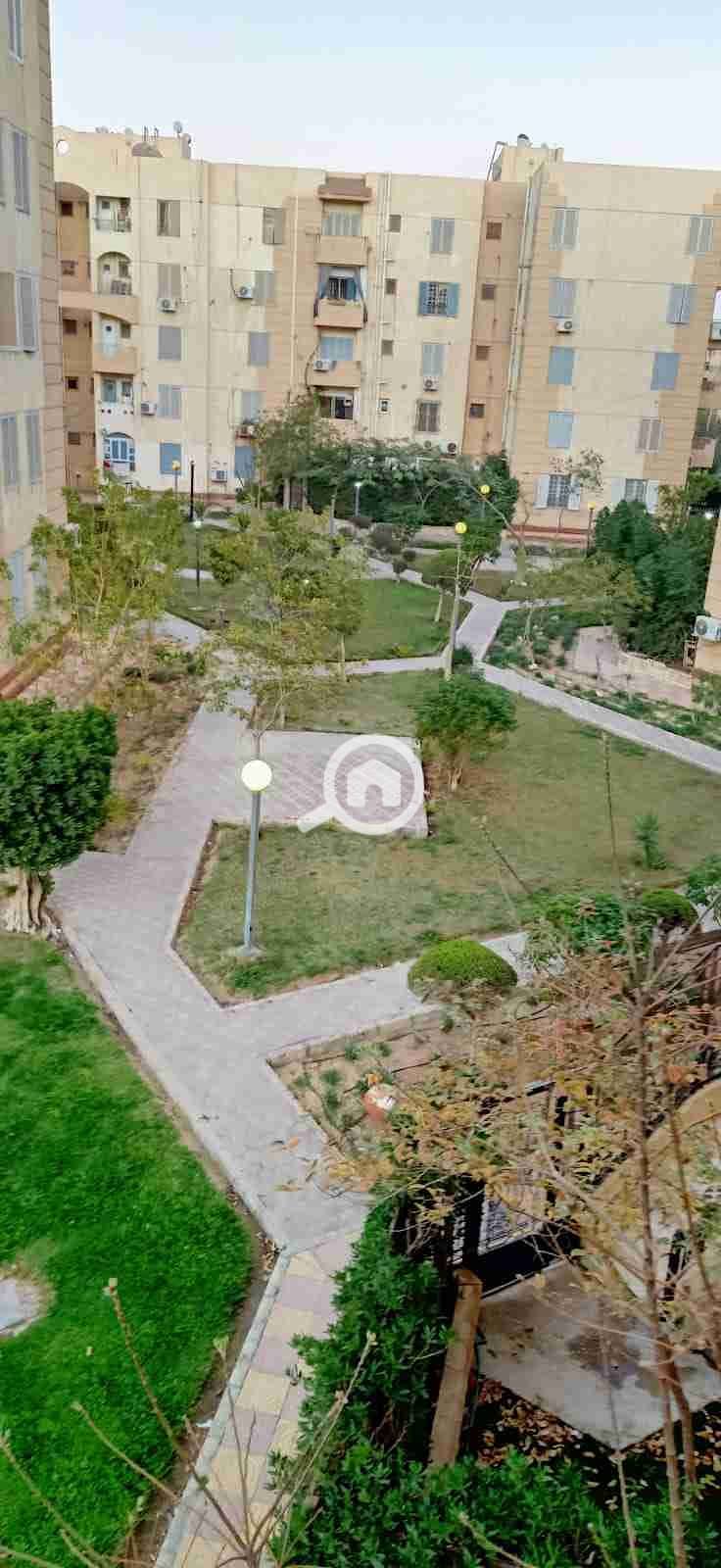 7 1000514438. jpg