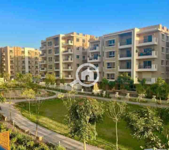 6 IMG_٢٠٢٥١٠٠٣_١٩٠٢٣٨. jpg