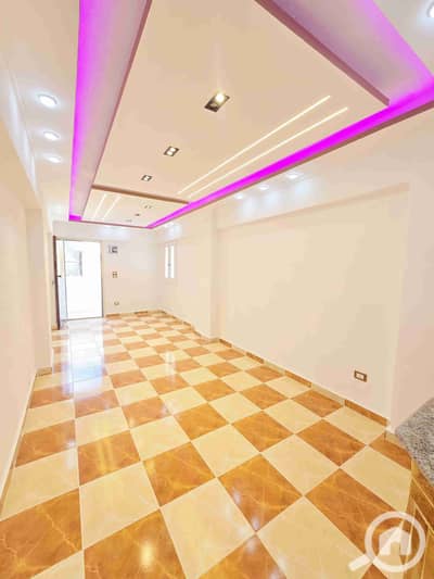 فلیٹ 2 غرفة نوم للبيع في النخيل، الإسكندرية - 1000423486. jpg