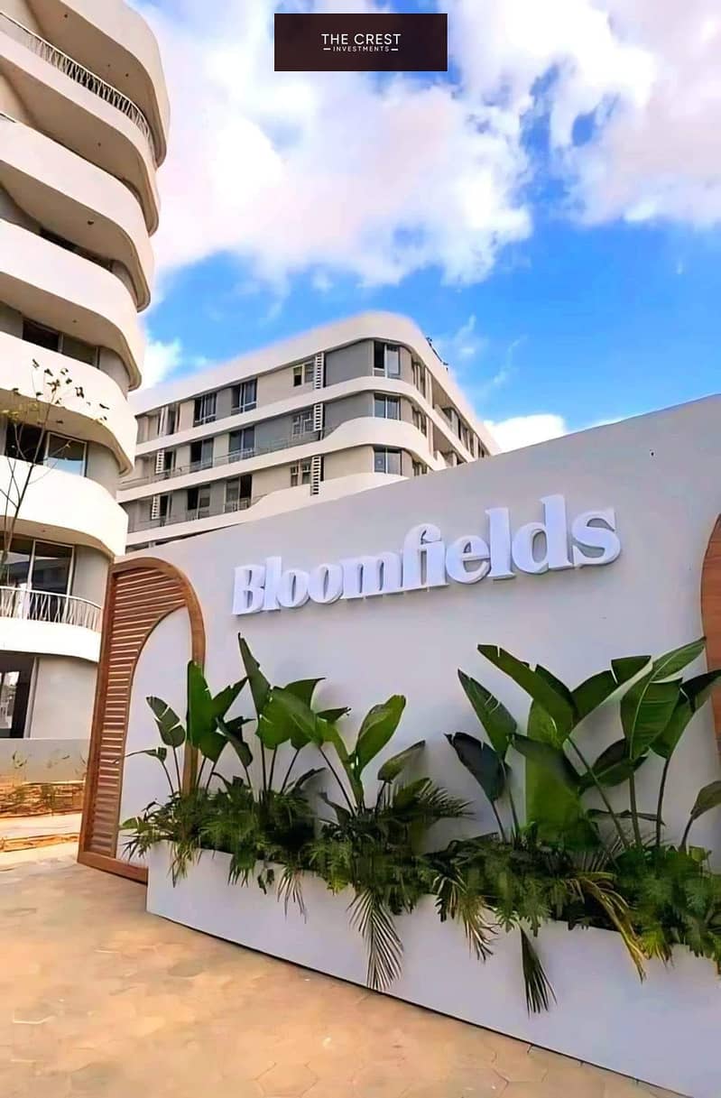 13 459417313_122114815112394963_5653470424915517570_n. jpg