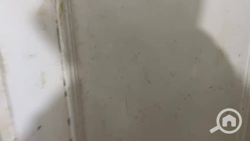 9 WhatsApp Video 2025-10-01 at 15.11. 05_baeea7c6_000060. jpg