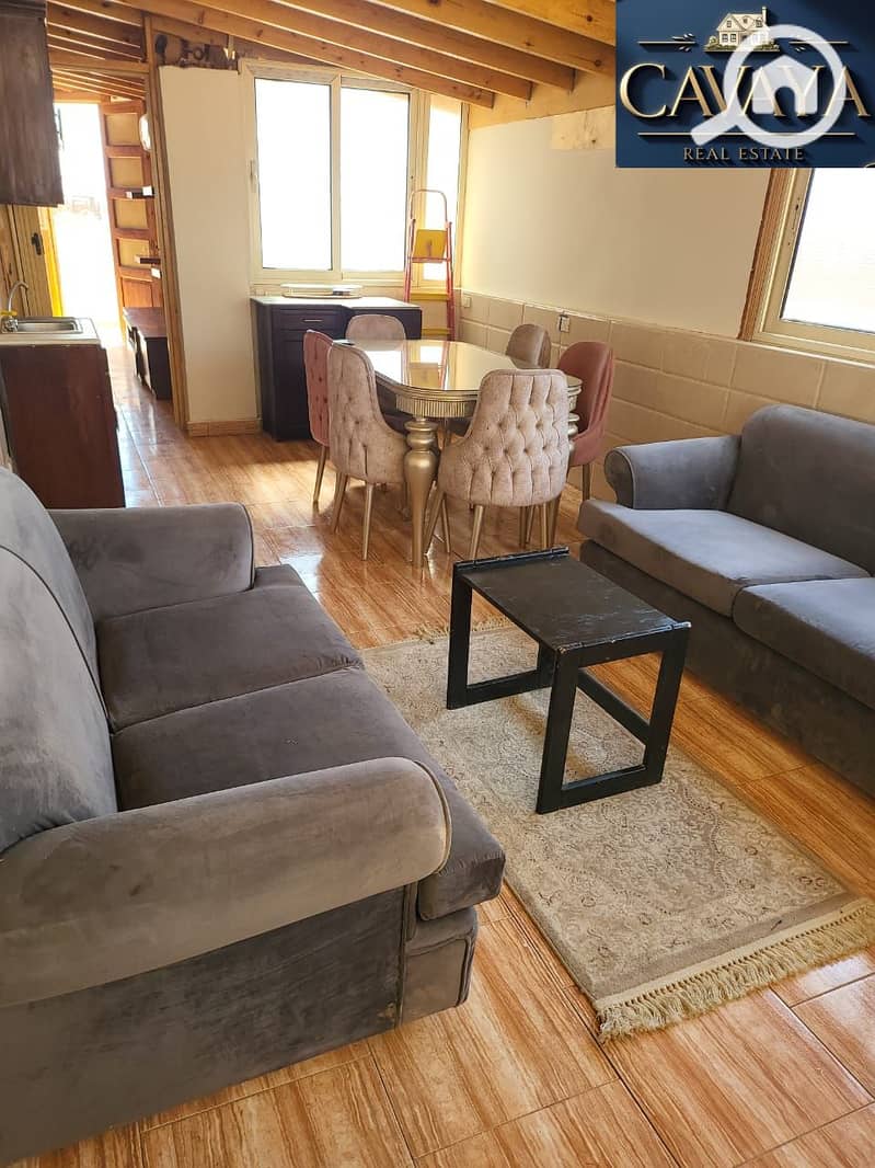 5 Untitled design (8). png