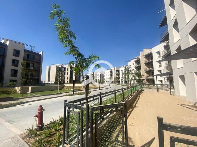 6 299324387_1249925165547526_1529207303062712079_n. jpg