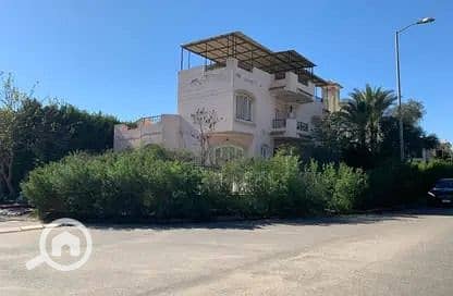 4 71a52bf6-514b-4133-8487-1ecd28897474. jpg